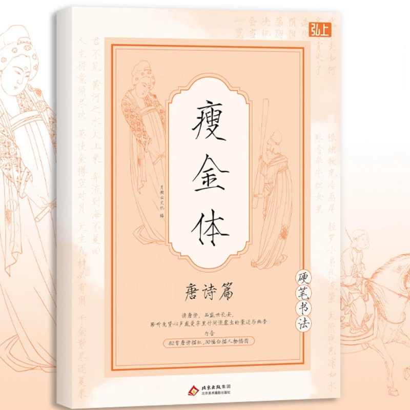 Chinese Writing  book Song Hui - Chinese Calligraphy Practice Book 评论和价格